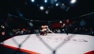 The UFC and Francis Ngannou Standoff: Perspectives and Impasse