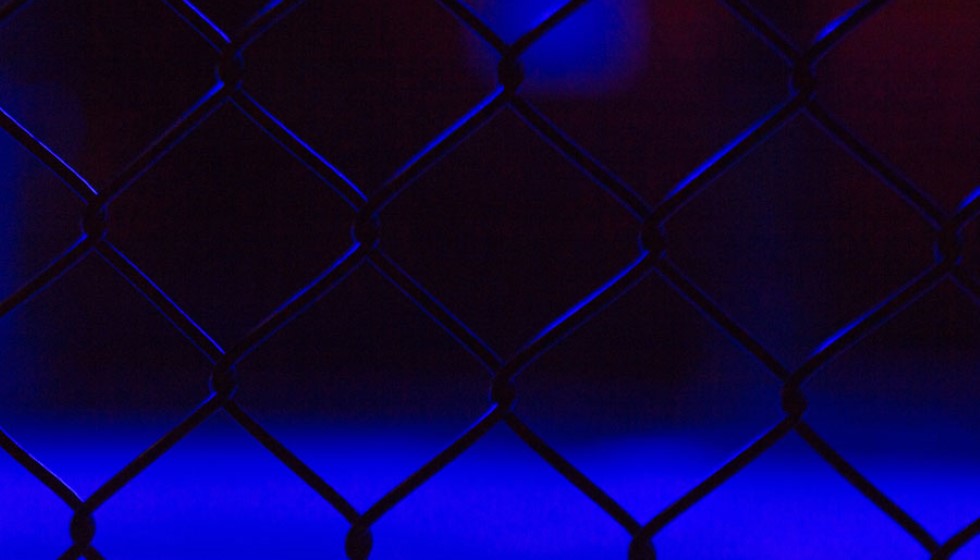 Fight Night in Macao: Yan Dominates Figueiredo in a Thrilling Contest